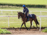 HC240925-17 - Rousham